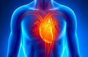 prevenzione cardiologica